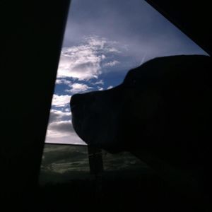 Meet your Posher, Colleen